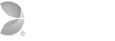 Evolution